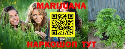 трава Кингисепп